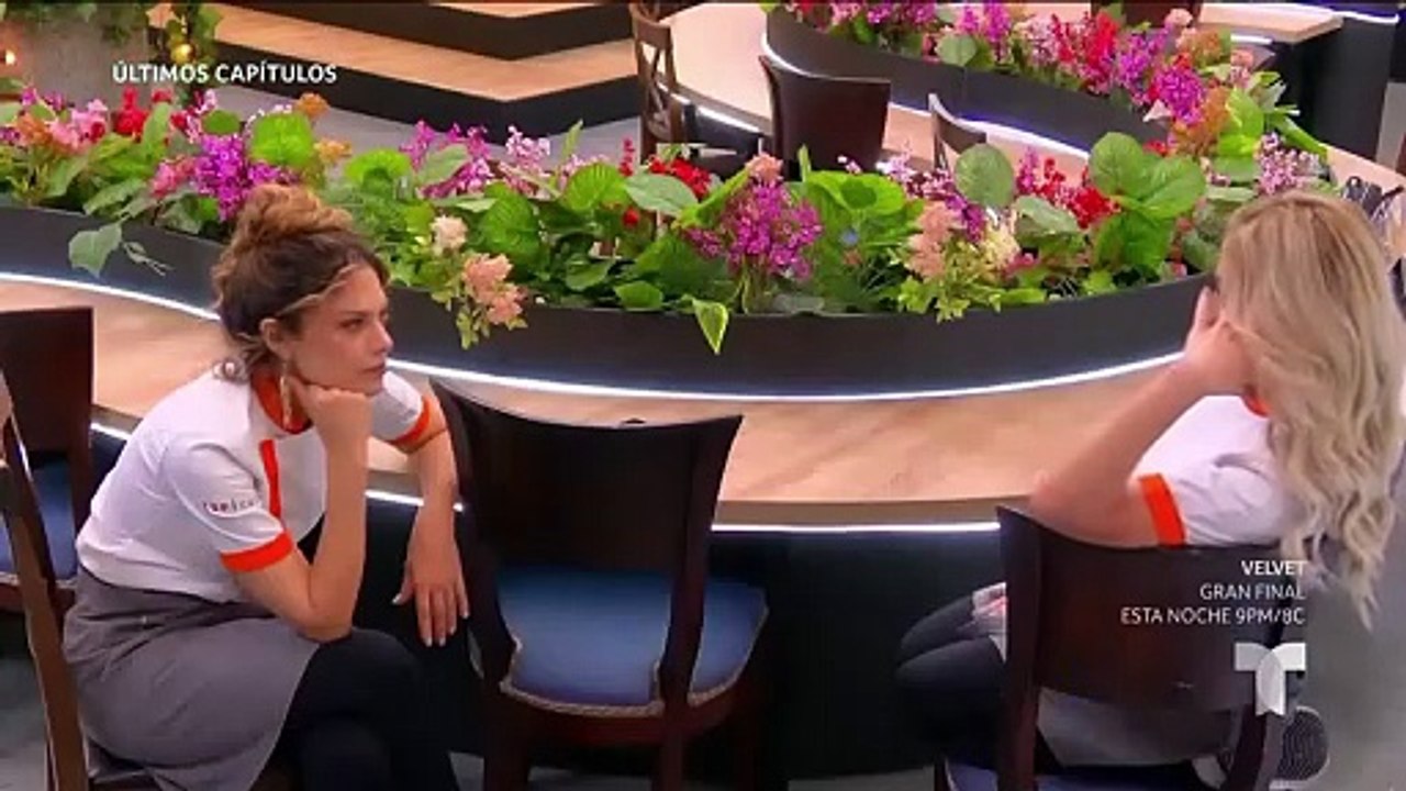 Top Chef VIP 4 Capitulo 56 Telemundo2025