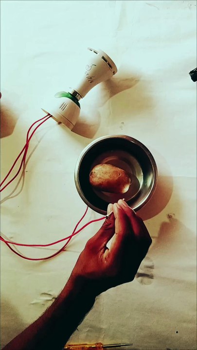 New science project ideas for beginners