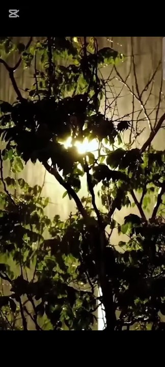 Contract Marriage - Chinese Drama - Full English Sub