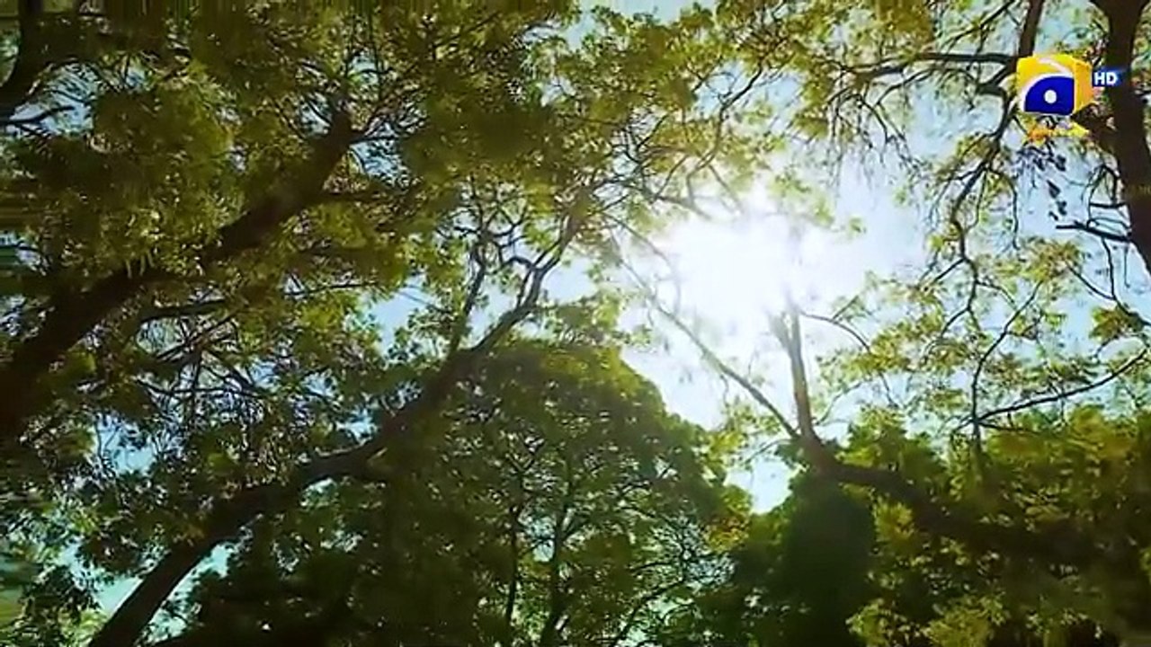 Haya Episode 19 - Drama & Entertainment