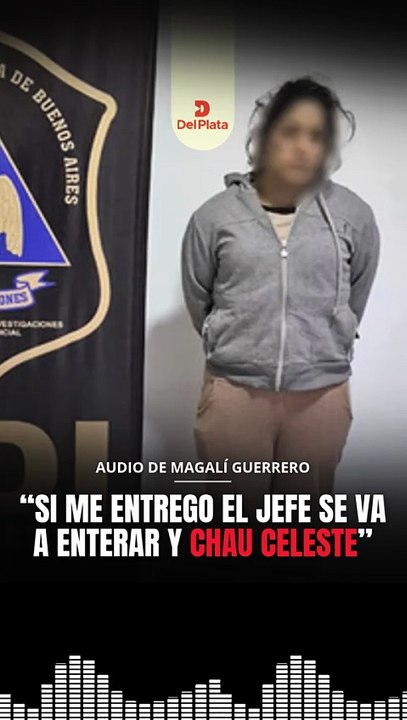 “¡Borra todo ya! Si no, yo voy a pagar”, el audio que revela la brutalidad del triple crimen en Argentina