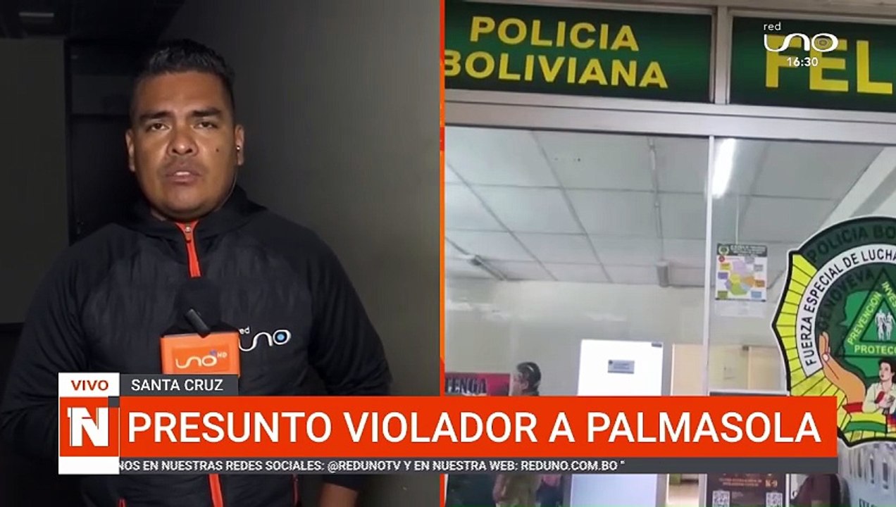 PRESUNTO VI0L4DOR A PALMASOLA