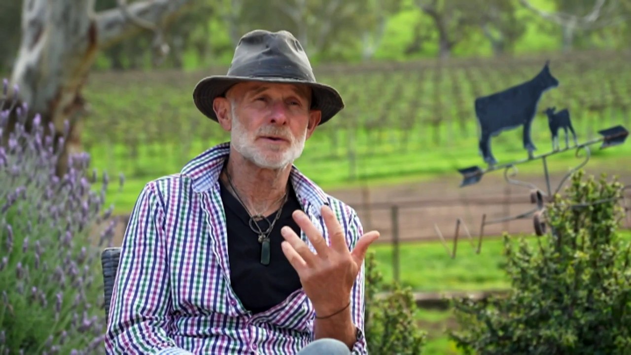 South Australian farmer takes on old-school approach to running dairy farm