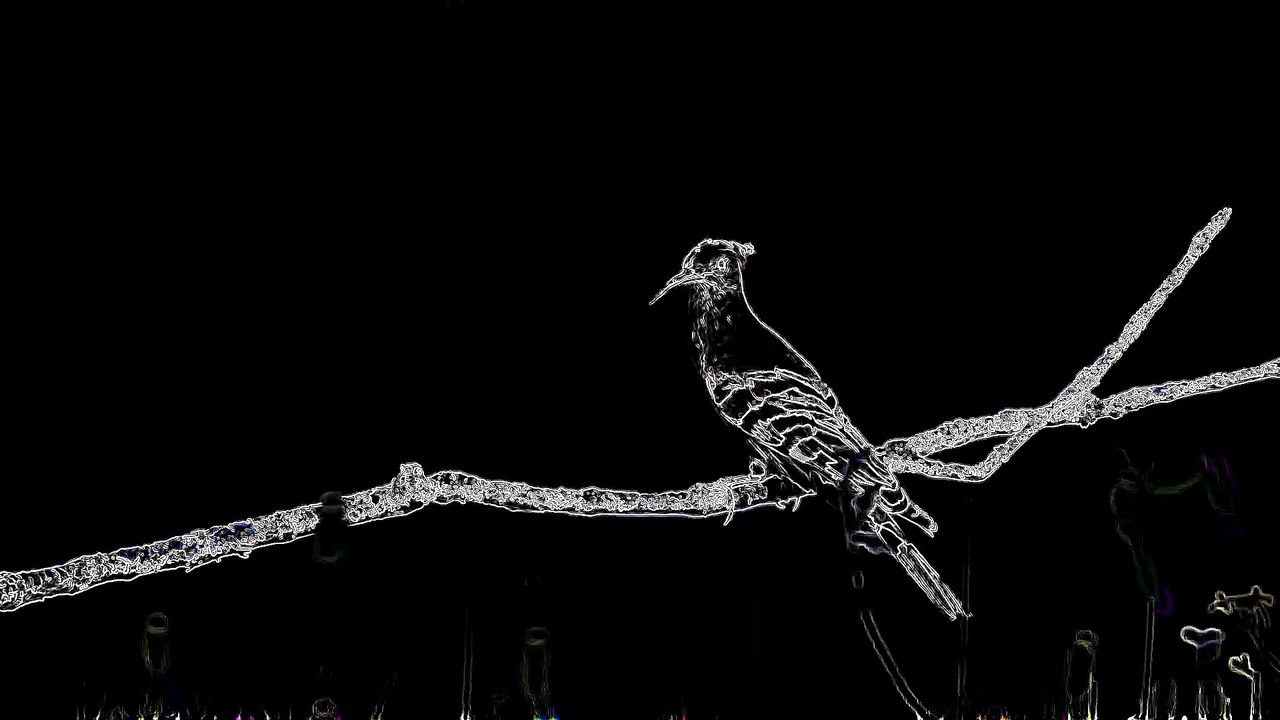 DownTempted - October 3, 2025   #Skrillex #Rezz #EDM #Dubstep #BassMusic #ElectronicMusic #SkrillexLive #RezzLive #FestivalVibes #RaveCulture #DJLife #MusicVideo #EDMFamily #DarkEDM #BassHouse #HypnoticBeats #Music #NewMusic #MusicVideo #LiveMusic #Musici