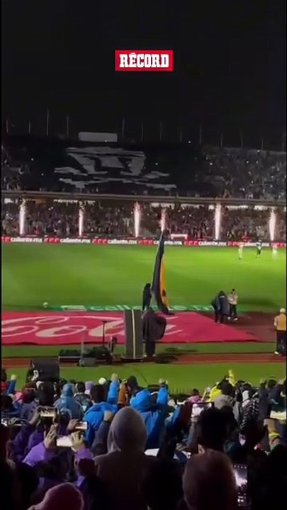 IMPRESIONANTE 🐾 La afición de Pumas presentó este mosaico ante Chivas.