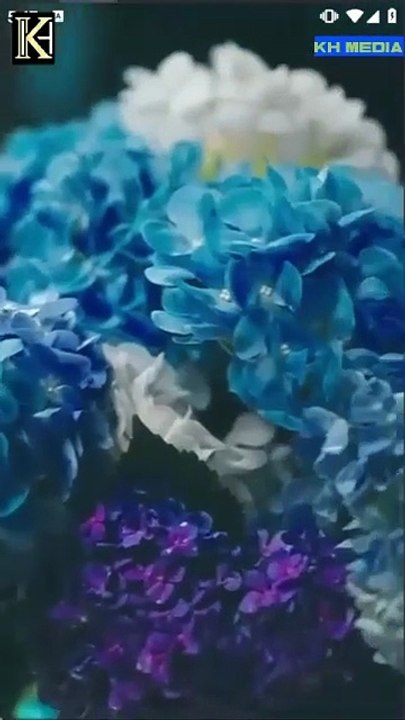 I Slept With His Uncle Chinese Drama