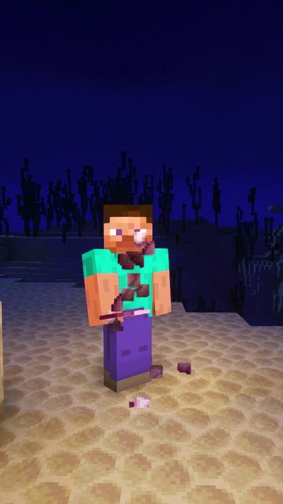 Les pires ajouts sur Minecraft 1