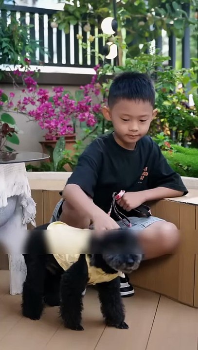 Cinta Terlarang CEO Dan Anak Pembantu | Forbidden Love of CEO and Maid's Daughter | Drama China | SUB INDO