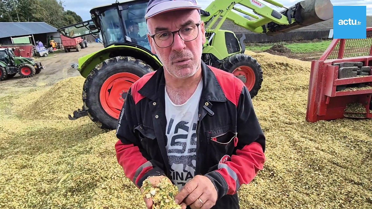 Ensilage de maïs réussi au Gaec du Petit Village : le secret d'une bonne récolte