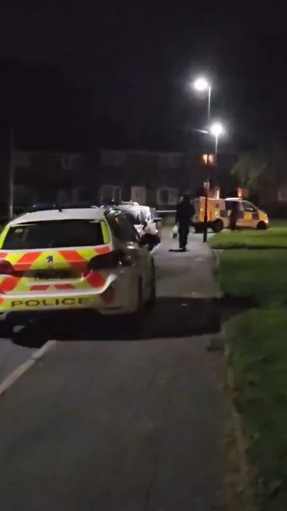 Knife attack in Lowedges