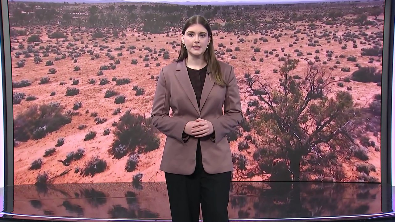 AI generated images circulate of missing boy in South Australia raising concerns of misinformation