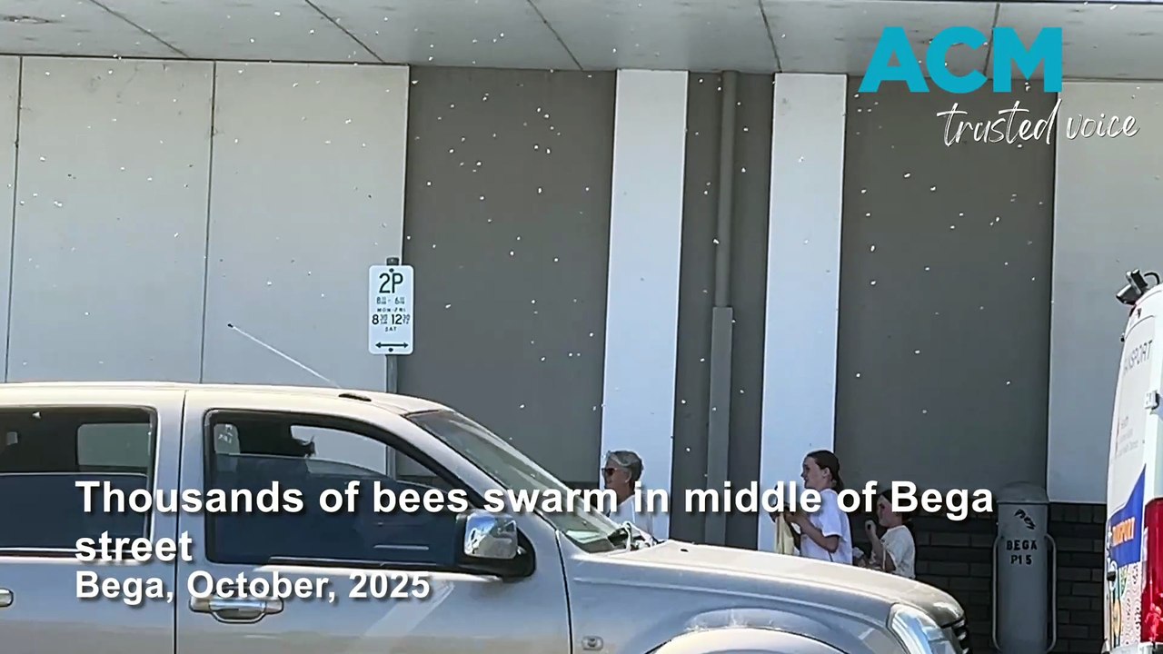 Thousands of bees swarm in the middle of a Far South Coast street