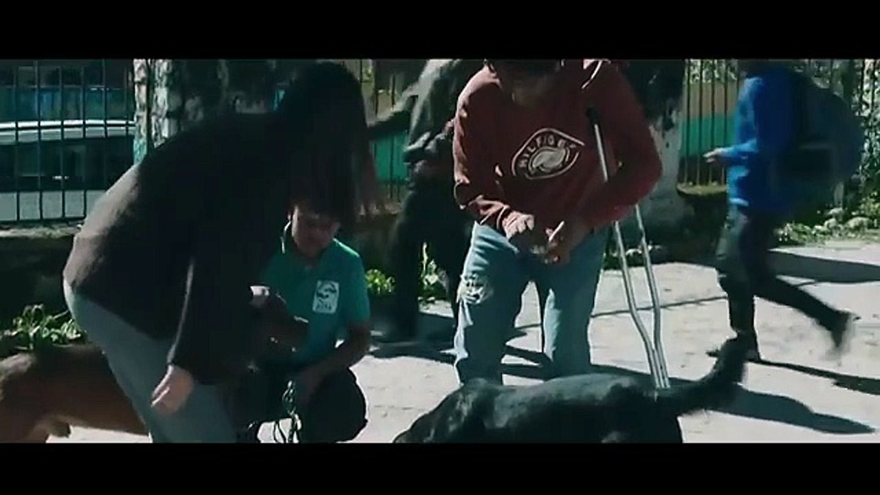 Thamma Full Horror Movie 2025 Ayushmann Khurana Rashmika Mandanna,Nawazuddin  Bollywood Movie