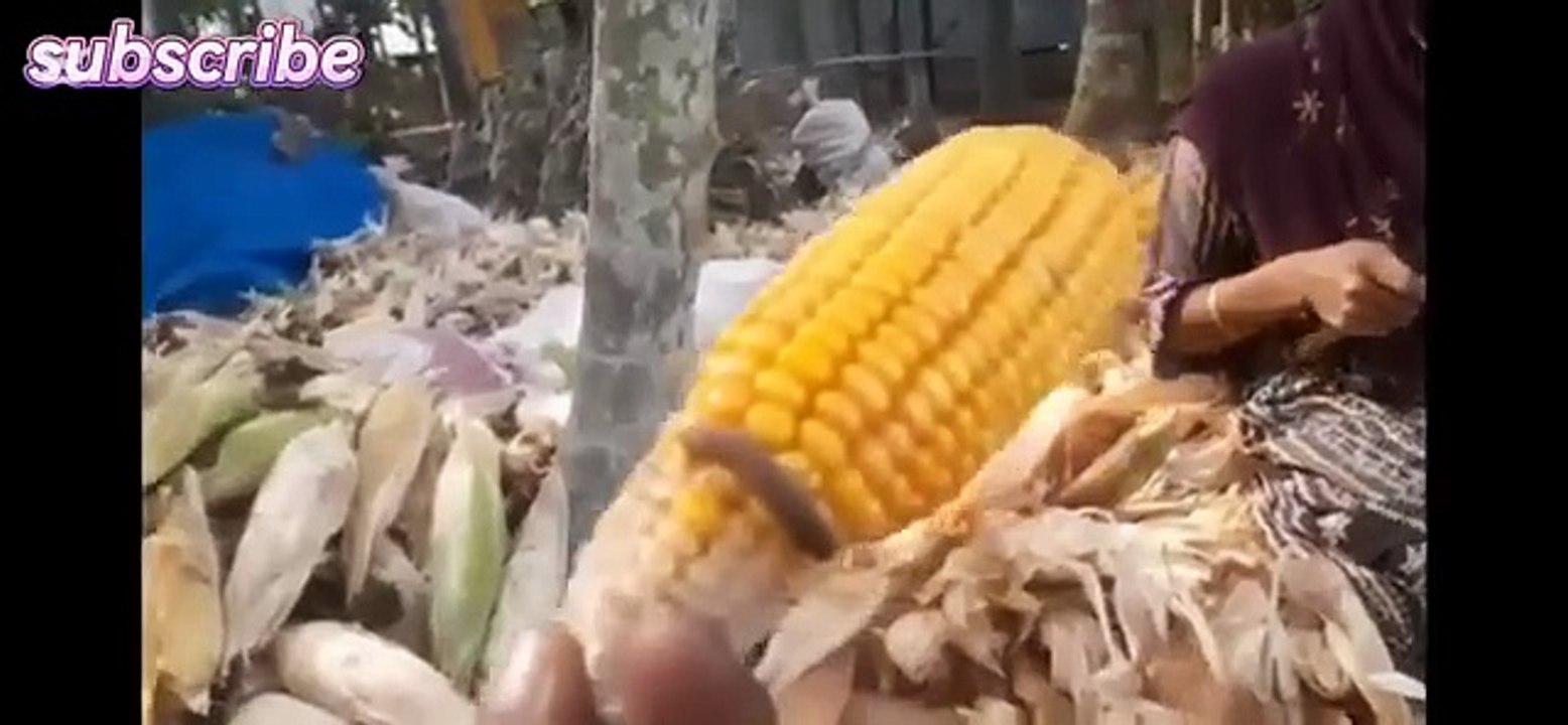 জেসিকা_শবনম_নতুন_চটি_গল্প_২০২৫#highlight_#foryou_#viral_#highlightseveryone_#trending_#video_#golpo(360p)