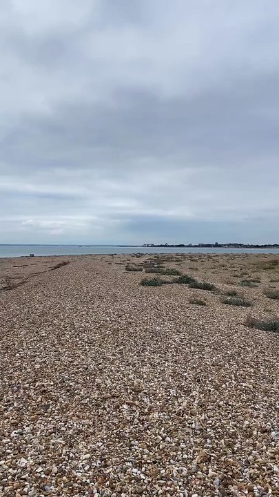 Hayling Island Coastguard Rescue Team
