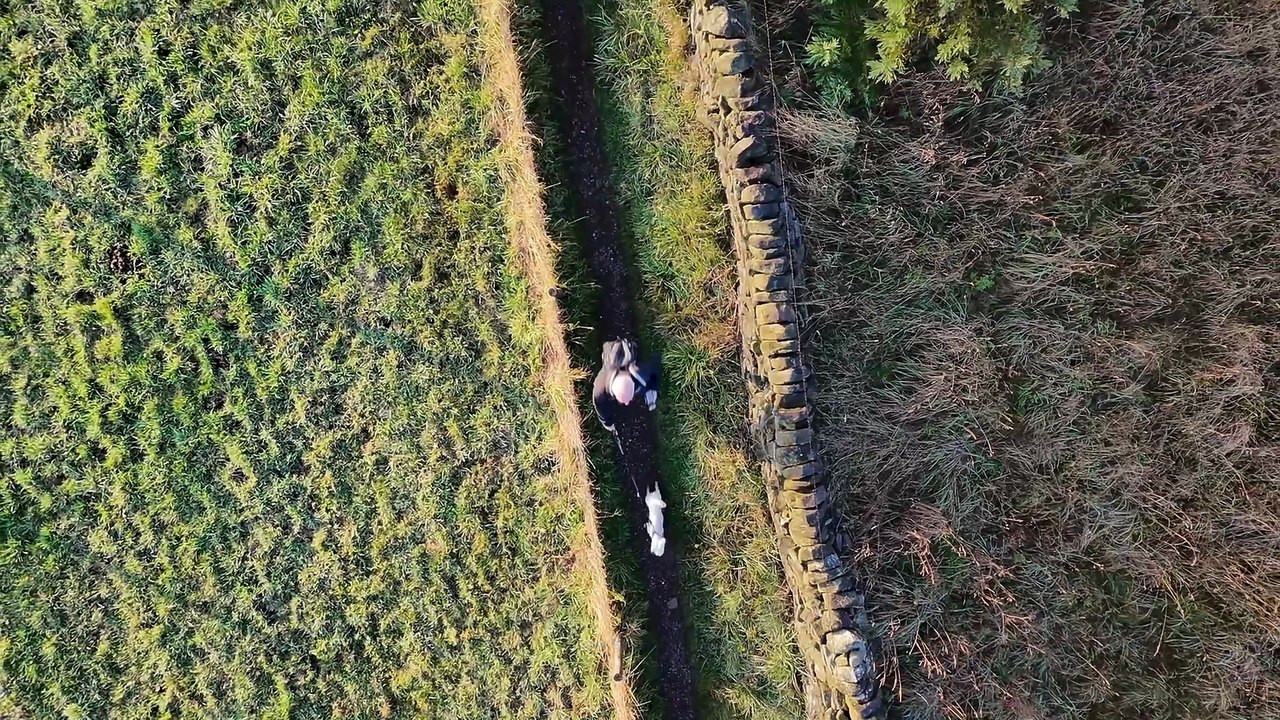 Japanese Walking Method: I tried the new style of walking to see if it works