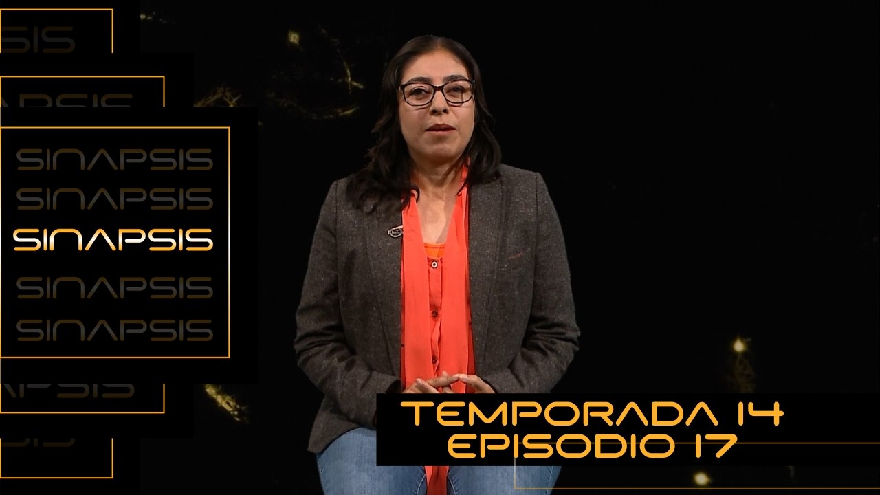 T14 Ep. 17 Sinapsis | Deterioro cognitivo durante el envejecimiento