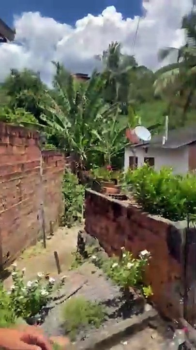 olícia Militar realiza operação contra acampamento do Comando Vermelho no Recôncavo Baiano; assista