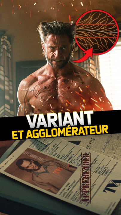 COMMENT FONCTIONNE LE CONCEPT D'AGGLOMÉRATEUR ?