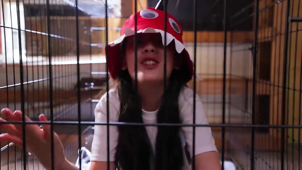 99 Nights To Save My Brainrot!