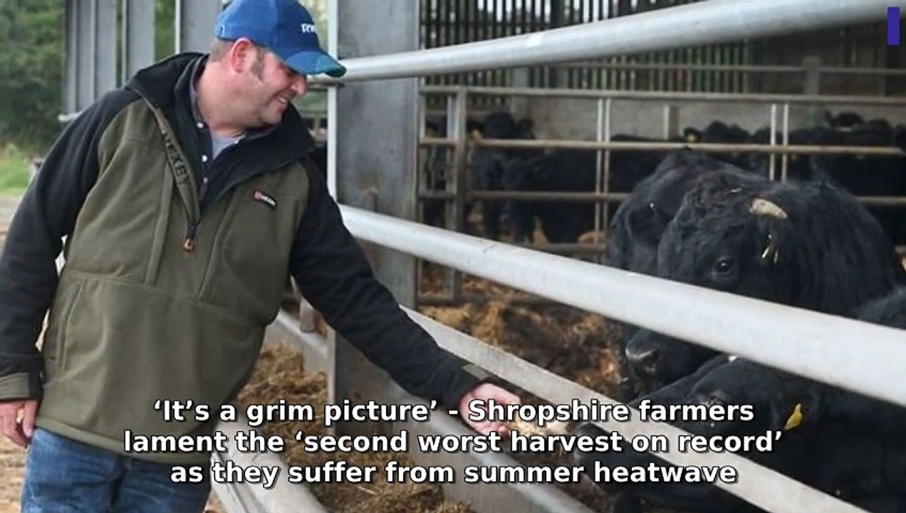 Shropshire Star Morning Update 20 October, 2025