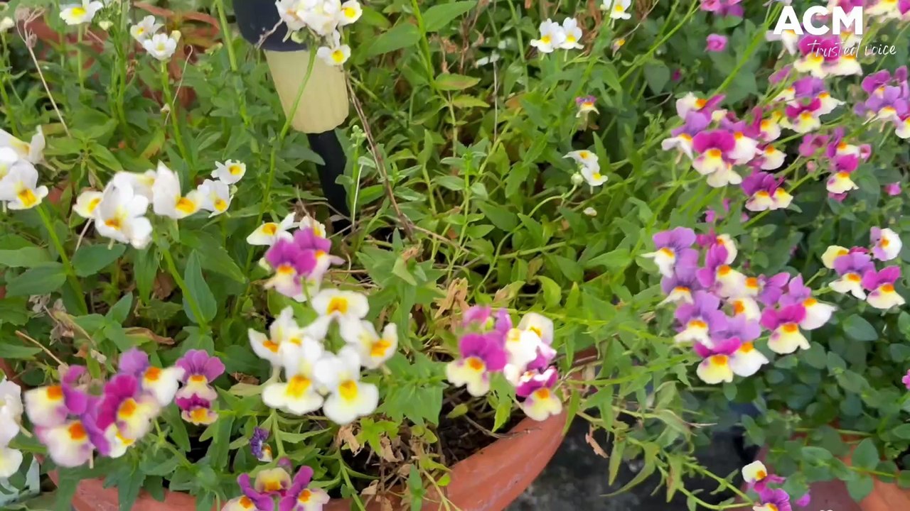 Spring Spectacular 2025