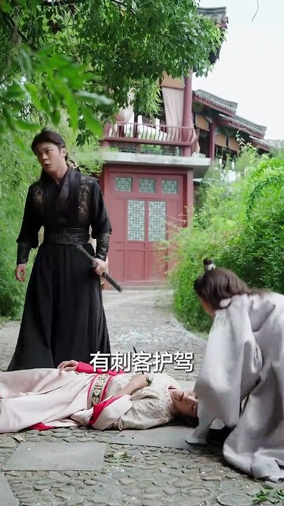 新剧上线#殿下，太子妃又带崽跑路了 (下)