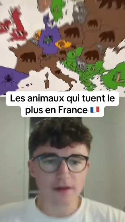 Les animaux qui tuent le plus en france #animaux #classement #quiz #jetpunk #realcreator