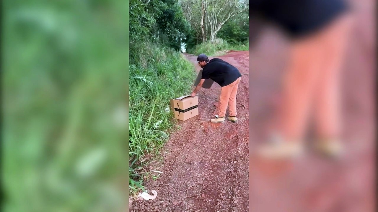 Um resgate fora do comum em Cascavel