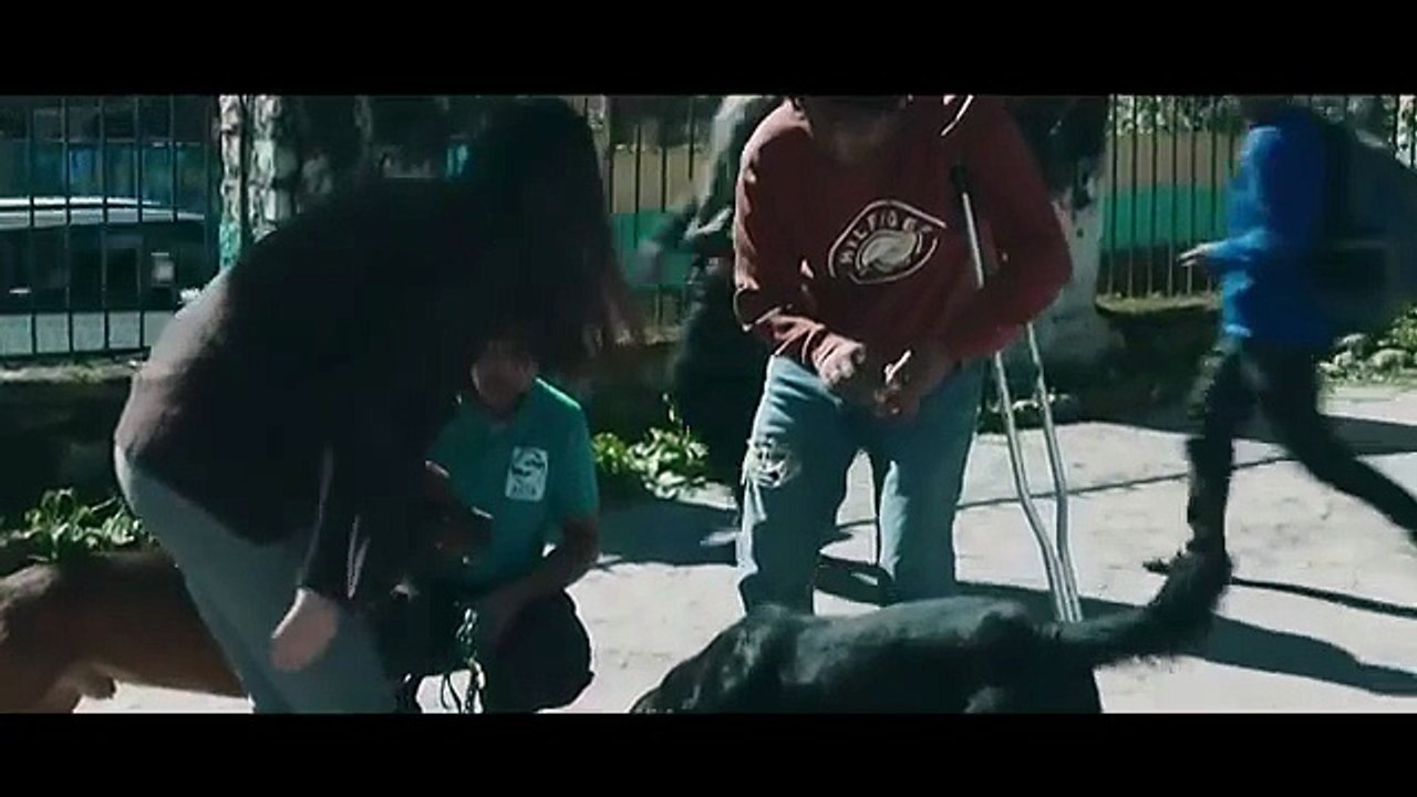 Thamma (2025) - Hindi Horror Movie Featuring Ayushmann Khurana, Rashmika Mandanna, and Nawazuddin Siddiqui