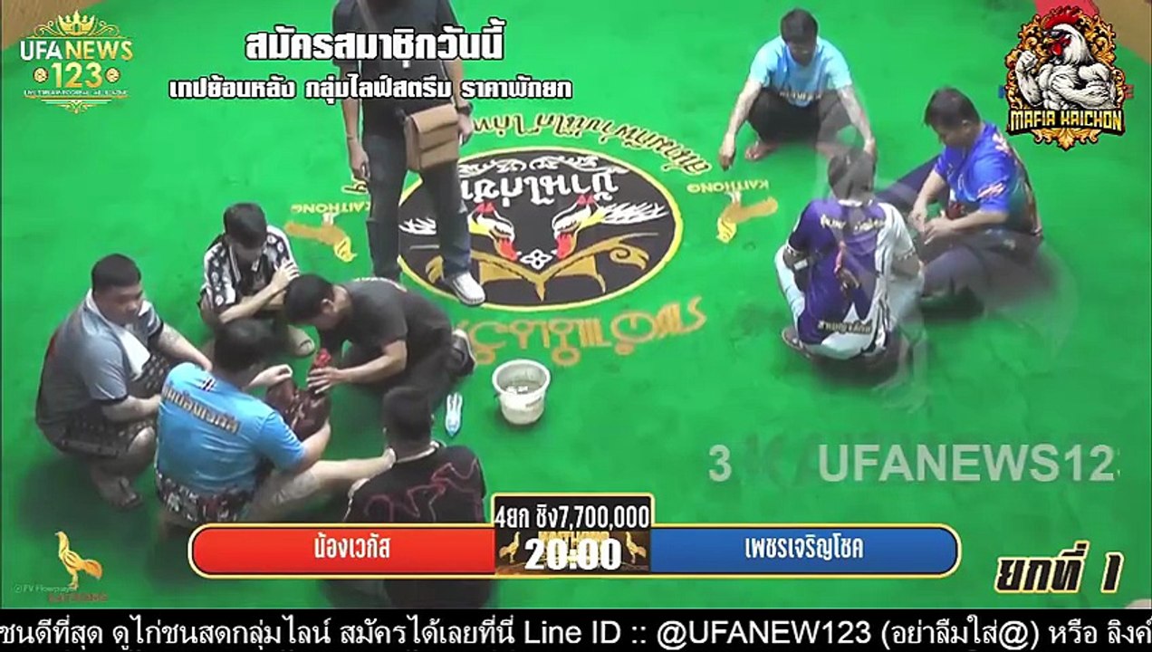 เทปไก่ชน น้องเวกัส VS เพชรเจริญโชค 01 พฤศจิกายน 2568