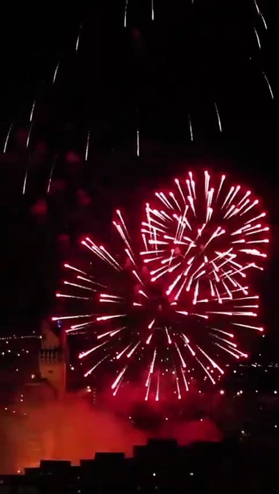 Rvc Fortuna Reversa Mensaje Futuro Flextv Es - Full Movie