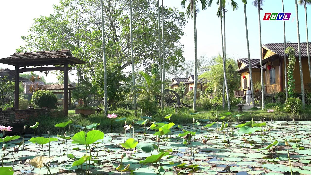 Nghiệp Sinh Tử Phần 5 Cuộc Chiến Hào Môn Tập 9 - Phim Truyền Hình Việt Nam THVL1 | Phim Hay