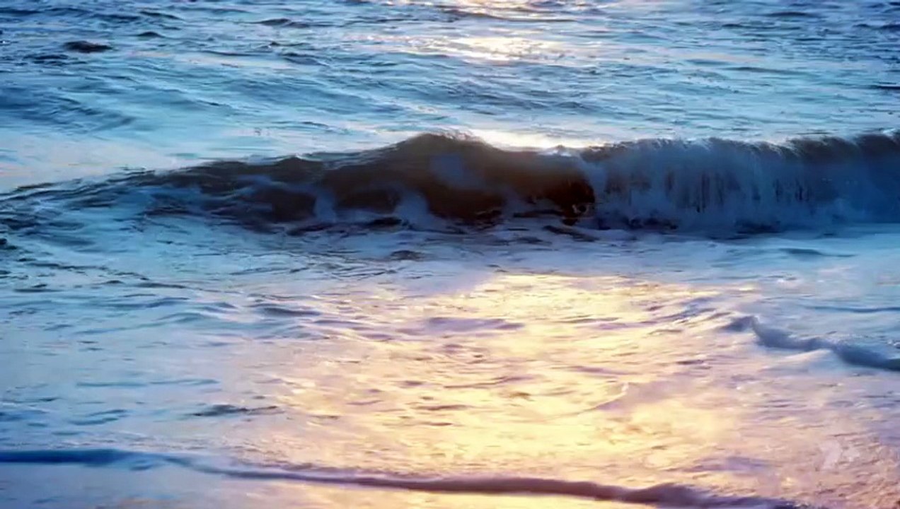 Home And Away Episode 8613 – Watch the Exciting New Episode from October 28, 2025! 🌟