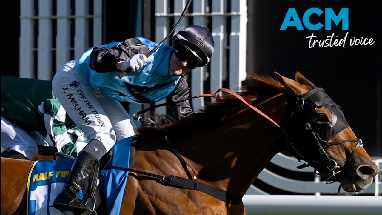 All eyes on Aussie-bred horse: Could Half Yours win the Melbourne Cup?