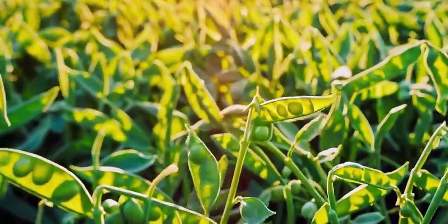 Bon Appetit, Your Majesty (2025) Episode 3 Engsub