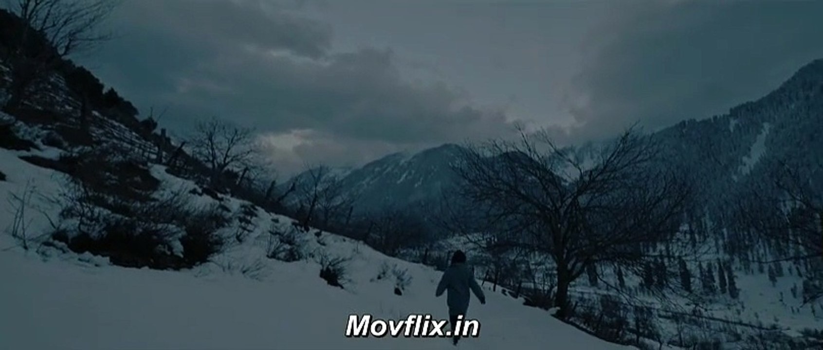 Baramulla 2025 Hindi Dubbed Movie | Watch the Exciting Thriller Now 🎬