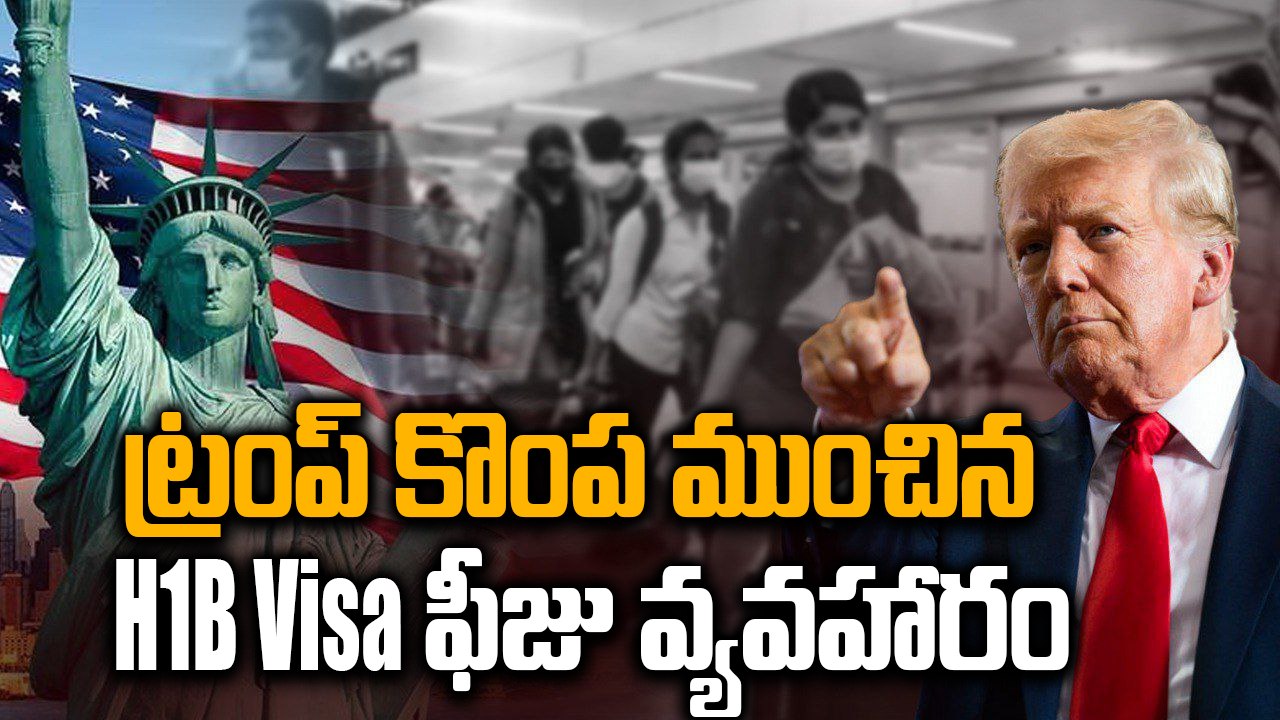 H1B Visa ఫీజు విషయంలో ట్రంప్ కు షాక్, కోర్టుకెక్కిన అమెరికన్లు | Oneindia Telugu