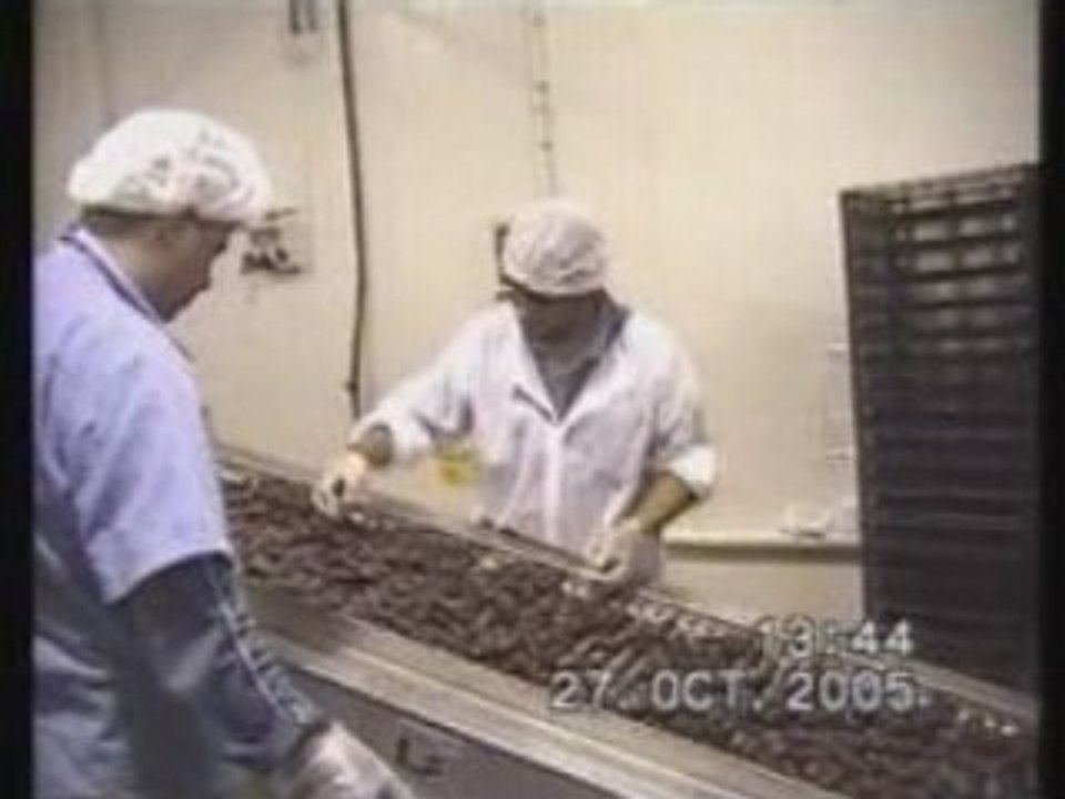 Sammo Linea envasado datil