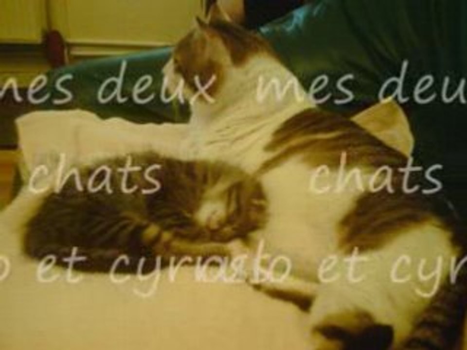 Moments Privés et Passions ⚡