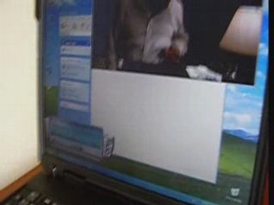 IBM T31 Laptop Overview