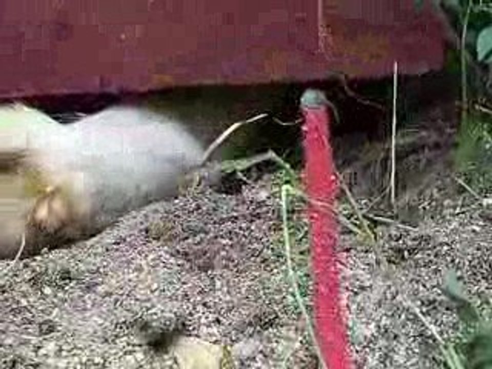 Au cœur du grattage