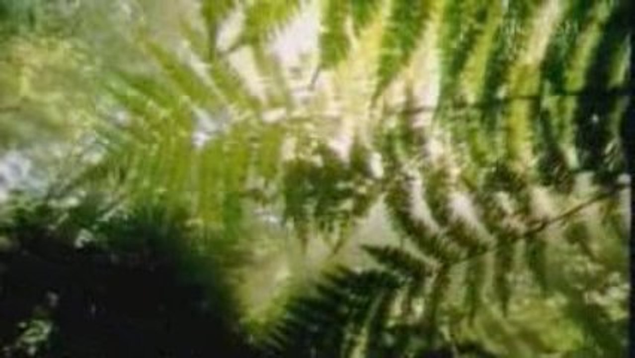 Experience New Zealand - Big Fish Productions