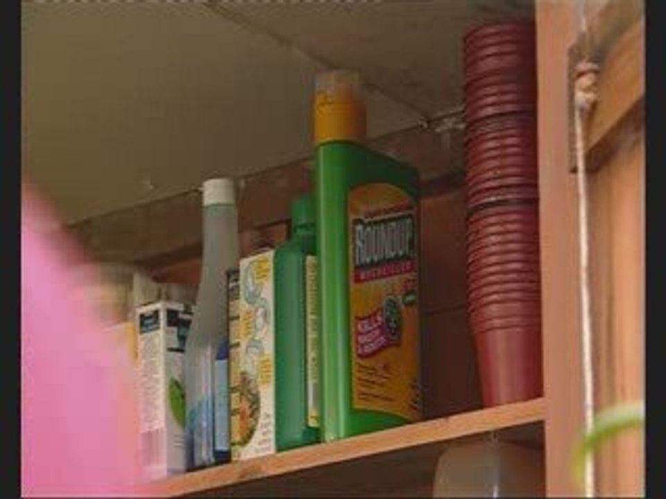 How To Use Round Up Weed Killer