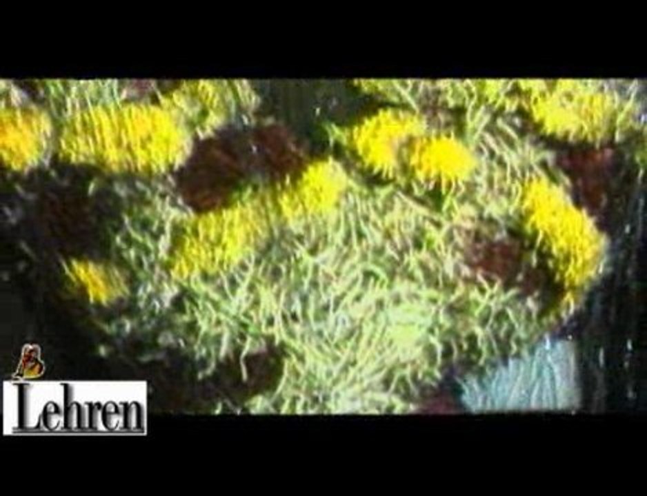 Music director Bappi Lahiri’s birthday