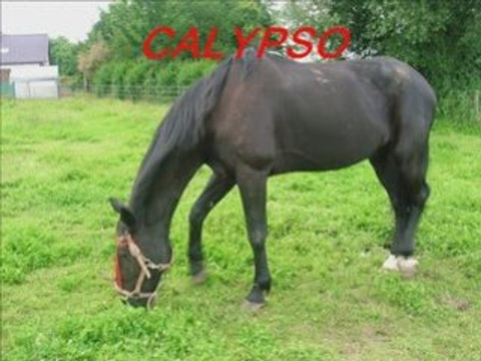 Photorécit 3.1: Create Stunning Photo Stories