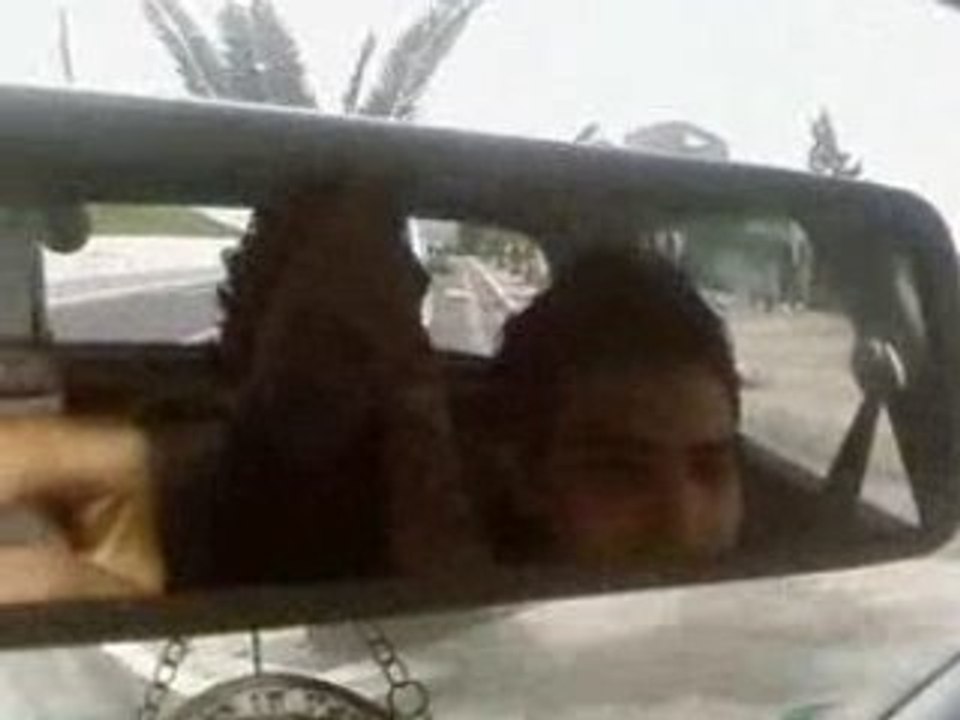 Moi chokri djems (balad a oran)