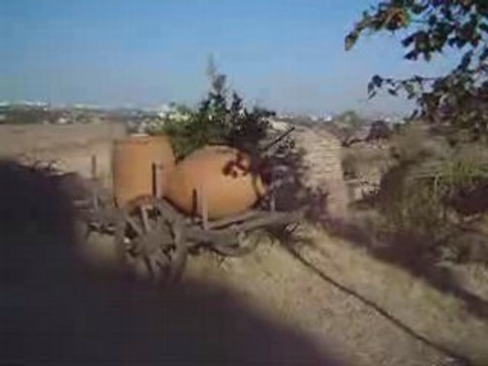 Tbilisi -- Video and Audio files4