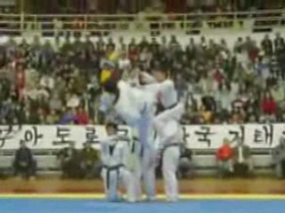 demo Taekwondo 540 kick