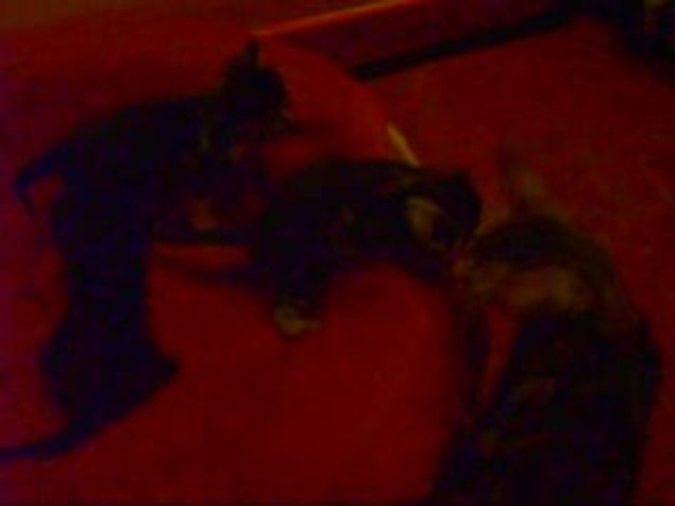 Premières explorations